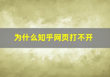 为什么知乎网页打不开