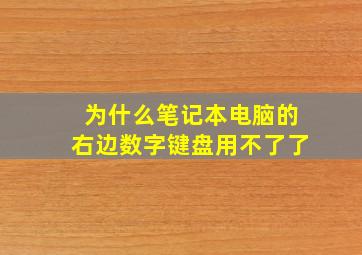 为什么笔记本电脑的右边数字键盘用不了了