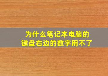 为什么笔记本电脑的键盘右边的数字用不了