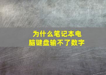 为什么笔记本电脑键盘输不了数字