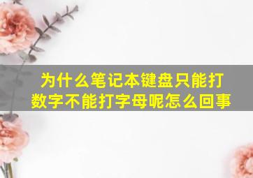 为什么笔记本键盘只能打数字不能打字母呢怎么回事