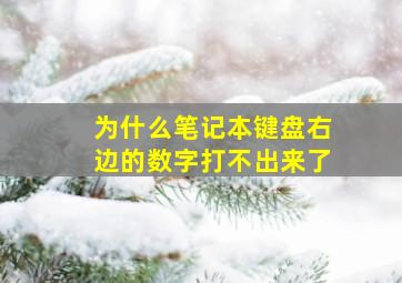 为什么笔记本键盘右边的数字打不出来了