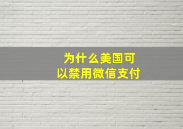 为什么美国可以禁用微信支付