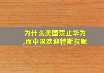 为什么美国禁止华为,而中国欢迎特斯拉呢