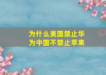 为什么美国禁止华为中国不禁止苹果