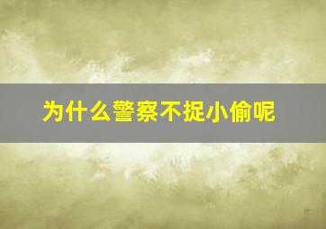 为什么警察不捉小偷呢