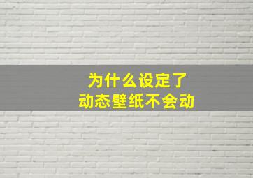 为什么设定了动态壁纸不会动