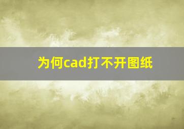 为何cad打不开图纸