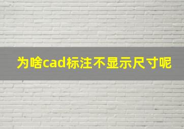 为啥cad标注不显示尺寸呢