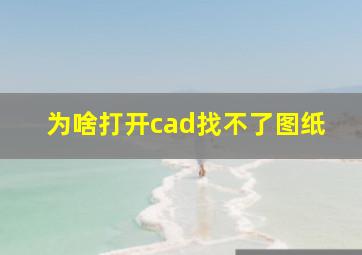 为啥打开cad找不了图纸