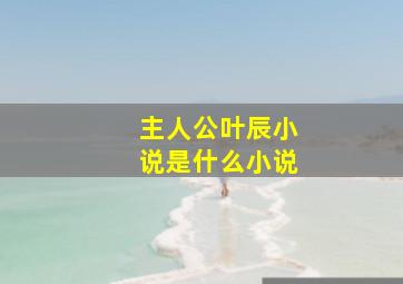 主人公叶辰小说是什么小说