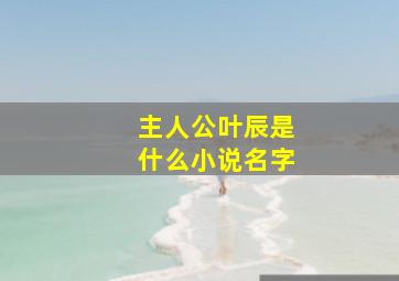 主人公叶辰是什么小说名字