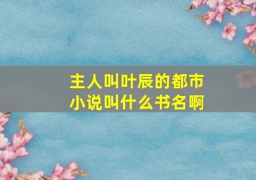 主人叫叶辰的都市小说叫什么书名啊