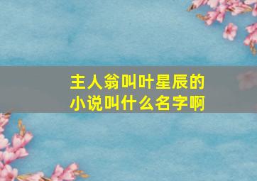 主人翁叫叶星辰的小说叫什么名字啊