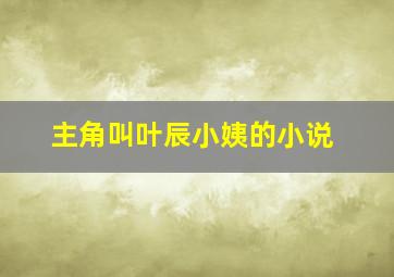 主角叫叶辰小姨的小说