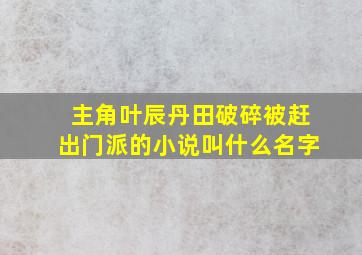 主角叶辰丹田破碎被赶出门派的小说叫什么名字