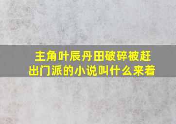 主角叶辰丹田破碎被赶出门派的小说叫什么来着