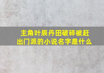 主角叶辰丹田破碎被赶出门派的小说名字是什么