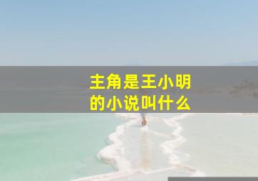 主角是王小明的小说叫什么