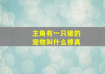 主角有一只猪的宠物叫什么修真