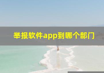 举报软件app到哪个部门