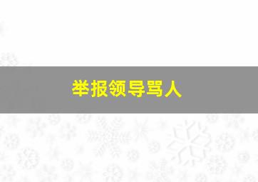 举报领导骂人