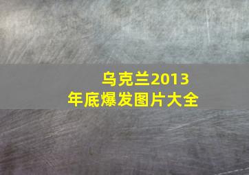 乌克兰2013年底爆发图片大全