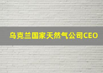 乌克兰国家天然气公司CEO