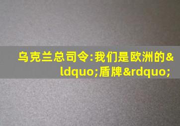 乌克兰总司令:我们是欧洲的“盾牌”