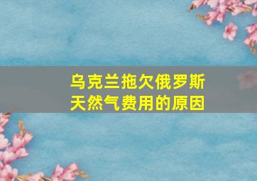 乌克兰拖欠俄罗斯天然气费用的原因