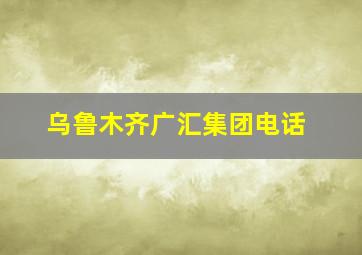 乌鲁木齐广汇集团电话