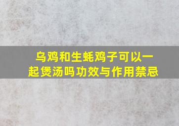 乌鸡和生蚝鸡子可以一起煲汤吗功效与作用禁忌