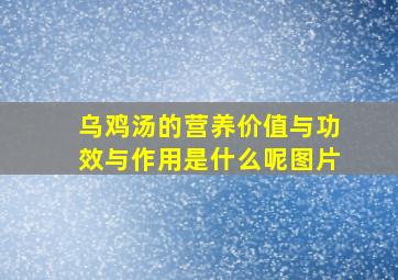 乌鸡汤的营养价值与功效与作用是什么呢图片