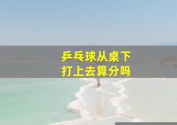 乒乓球从桌下打上去算分吗