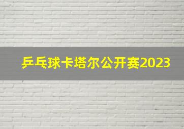 乒乓球卡塔尔公开赛2023