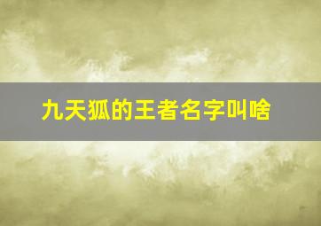 九天狐的王者名字叫啥