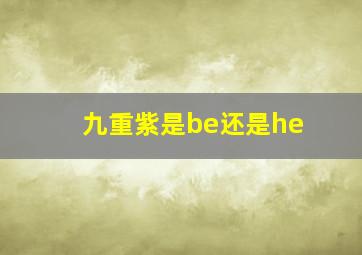 九重紫是be还是he