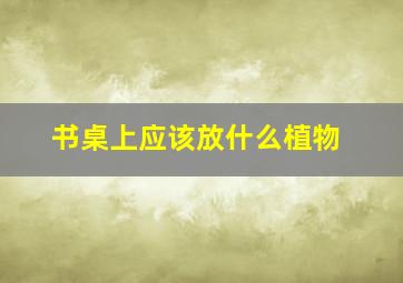 书桌上应该放什么植物