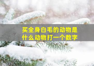 买全身白毛的动物是什么动物打一个数字