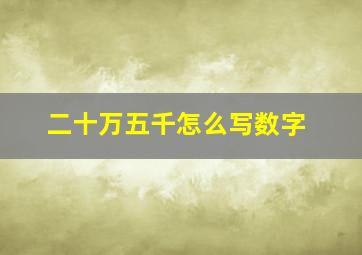 二十万五千怎么写数字