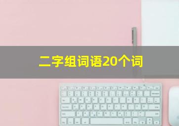 二字组词语20个词