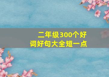 二年级300个好词好句大全短一点