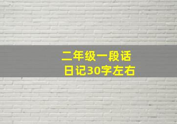 二年级一段话日记30字左右