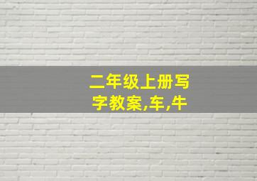 二年级上册写字教案,车,牛