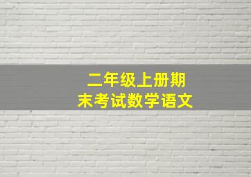 二年级上册期末考试数学语文