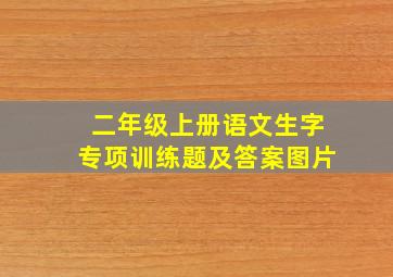 二年级上册语文生字专项训练题及答案图片