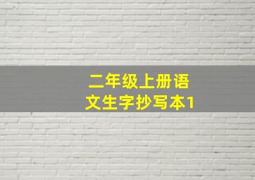 二年级上册语文生字抄写本1