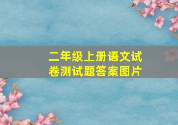 二年级上册语文试卷测试题答案图片