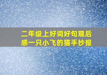 二年级上好词好句观后感一只小飞的猫手抄报