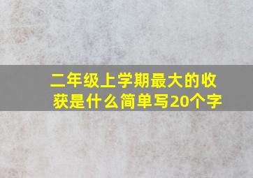 二年级上学期最大的收获是什么简单写20个字